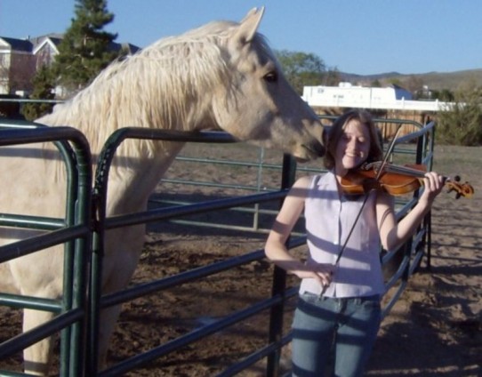 horse
