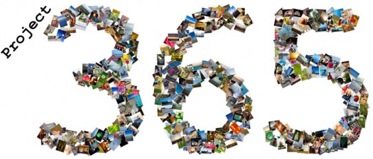 365-project